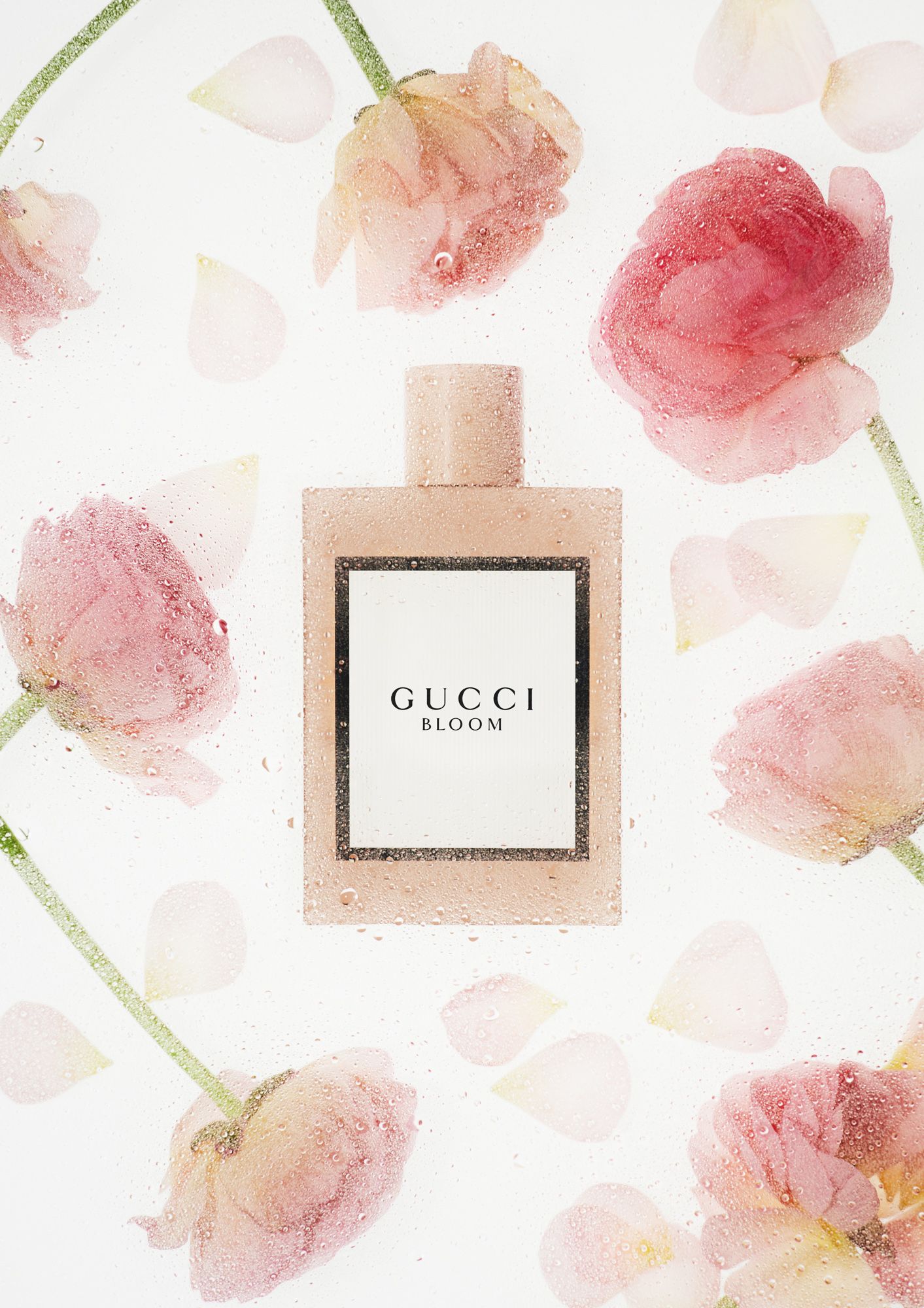 사파사진학원 정지혜 졸업포트폴리오 - 광고, 컨셉춰, 라이프스타일 제품 사진