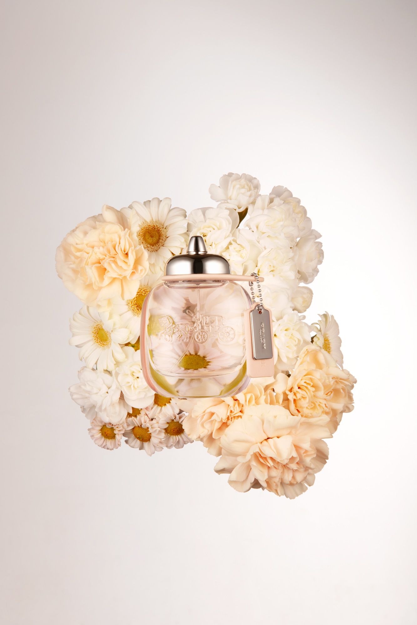 사파사진학원 배진선 졸업포트폴리오 - 광고, 라이프스타일, 컨셉춰 제품 사진