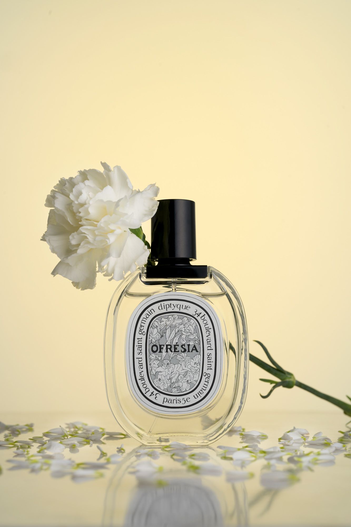 사파사진학원 김수진 졸업포트폴리오 - 광고, 라이프스타일, 컨셉춰 제품 사진