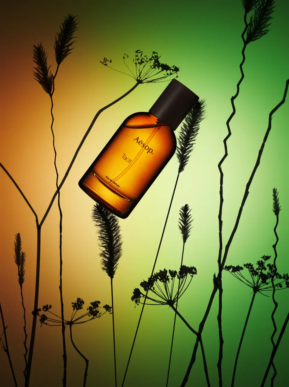 사파사진학원 원준희 졸업포트폴리오 - 광고, 라이프스타일, 컨셉춰 제품 사진