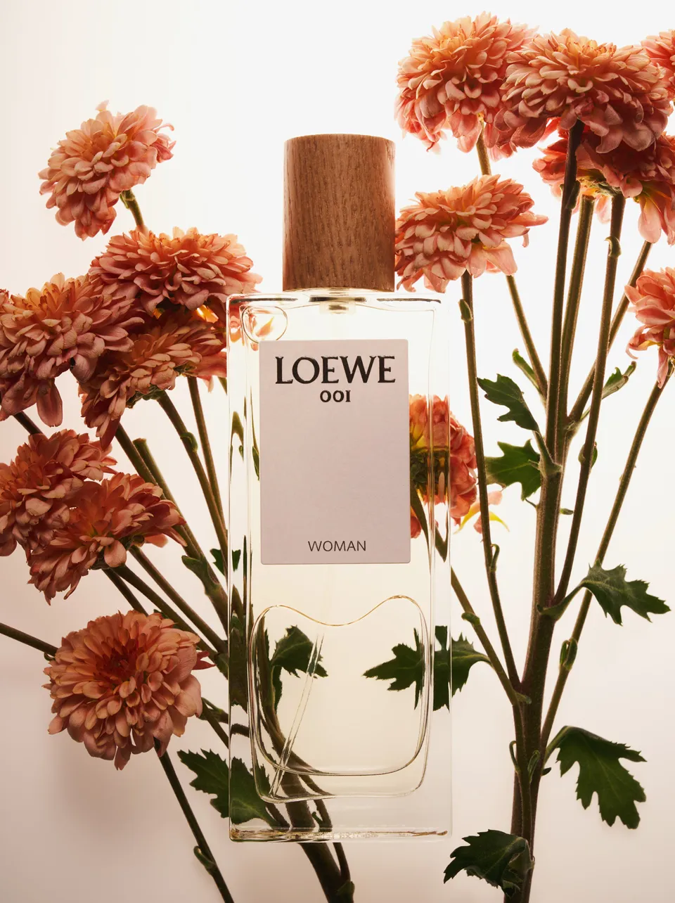 사파사진학원 조연수 졸업포트폴리오 - 광고, 라이프스타일, 컨셉춰 제품 사진