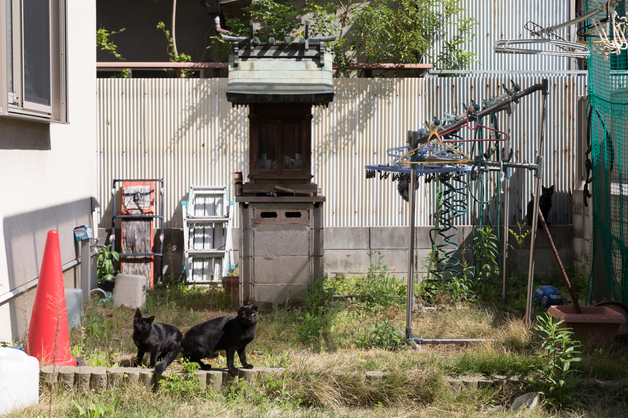 오사카 촬영 여행 보고서