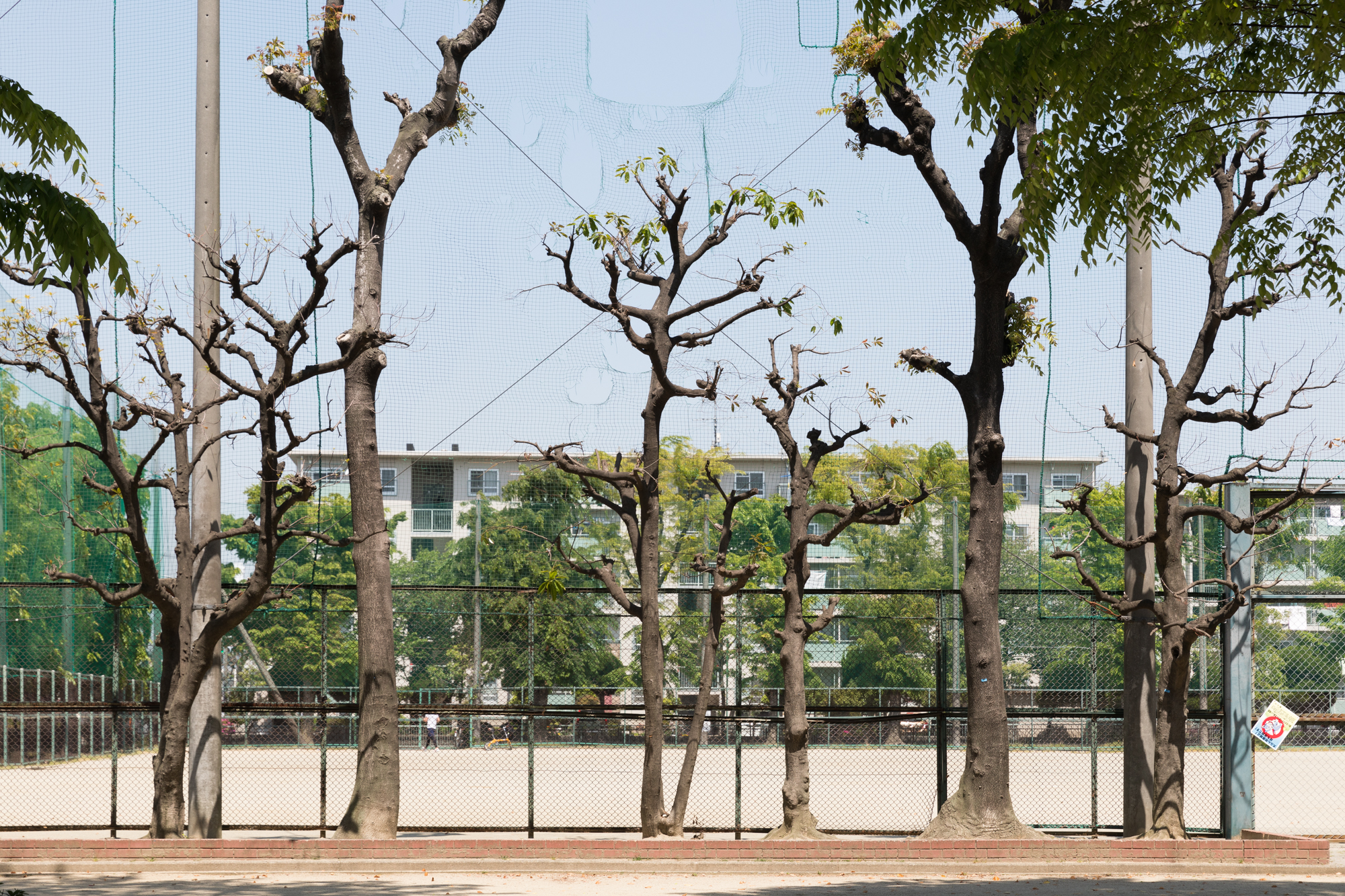 오사카 촬영 여행 보고서