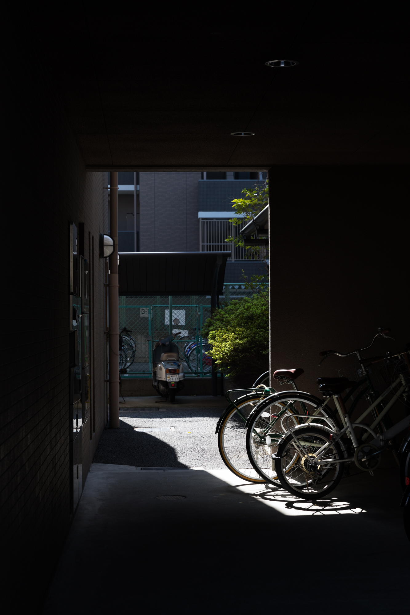 오사카 촬영 여행 보고서