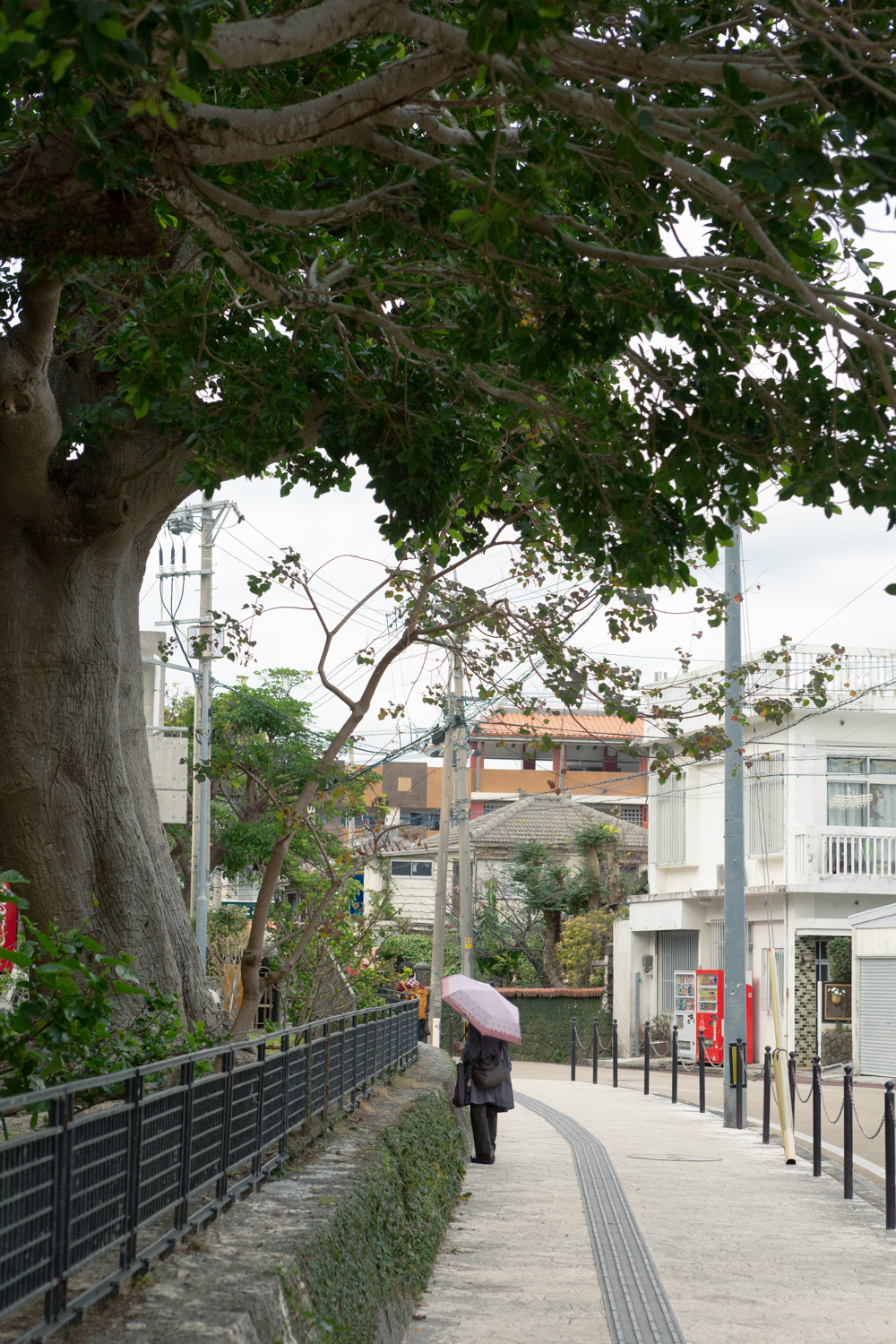 오키나와 촬영 여행