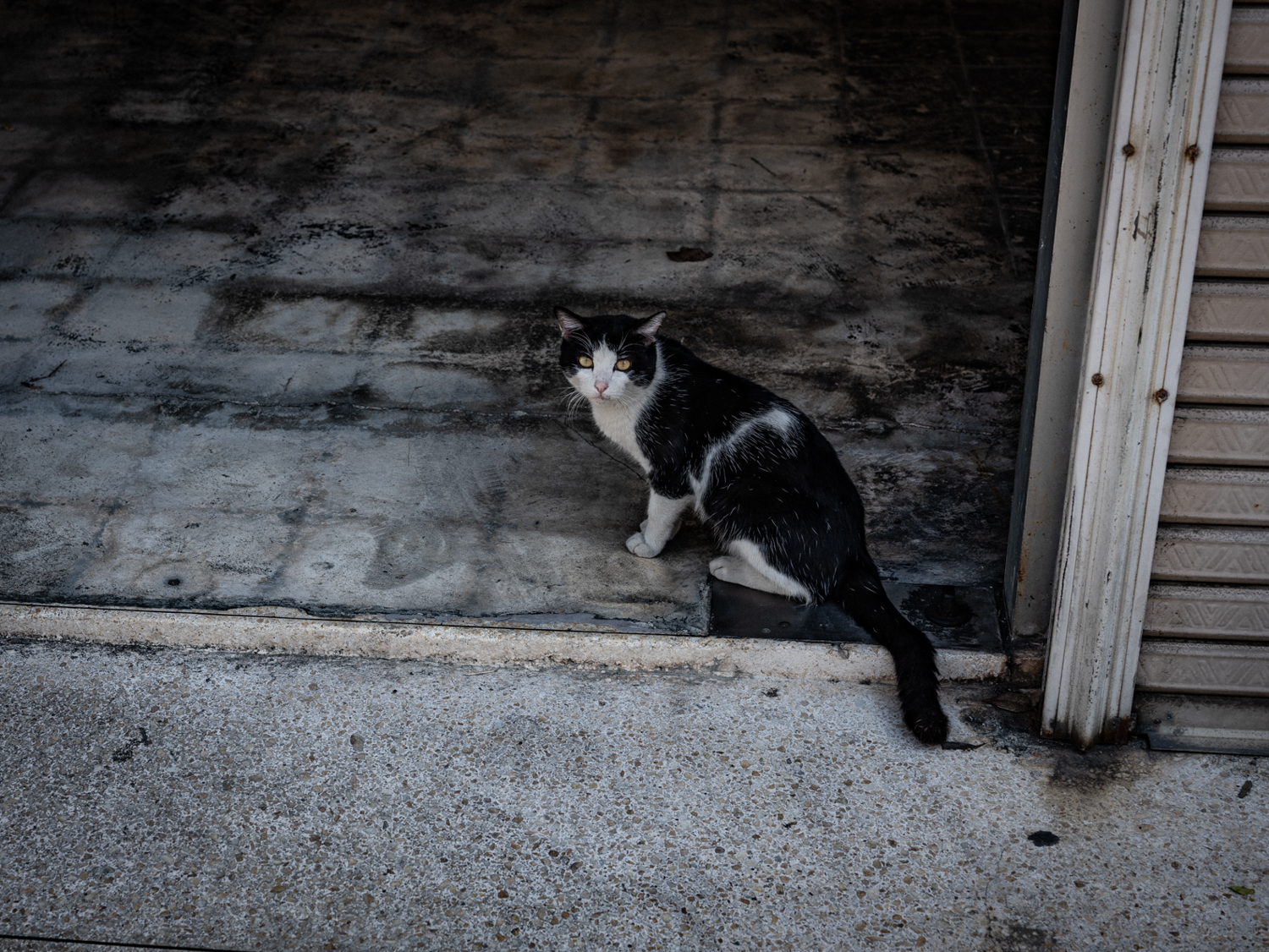 오키나와 촬영 여행