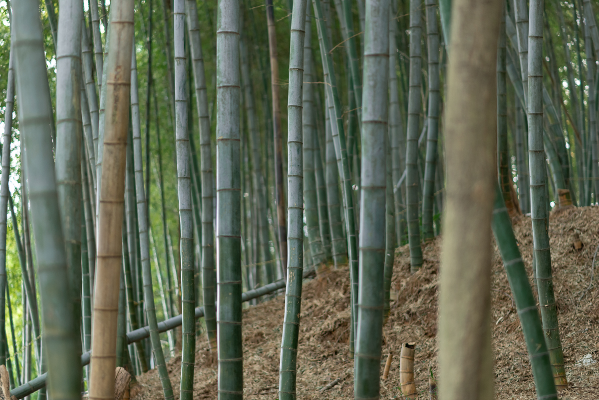 완도 촬영 여행 보고서