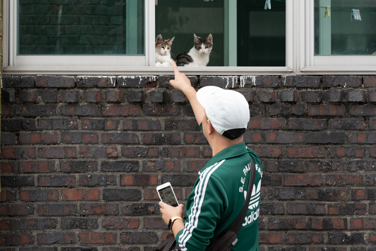 완도 촬영 여행 보고서