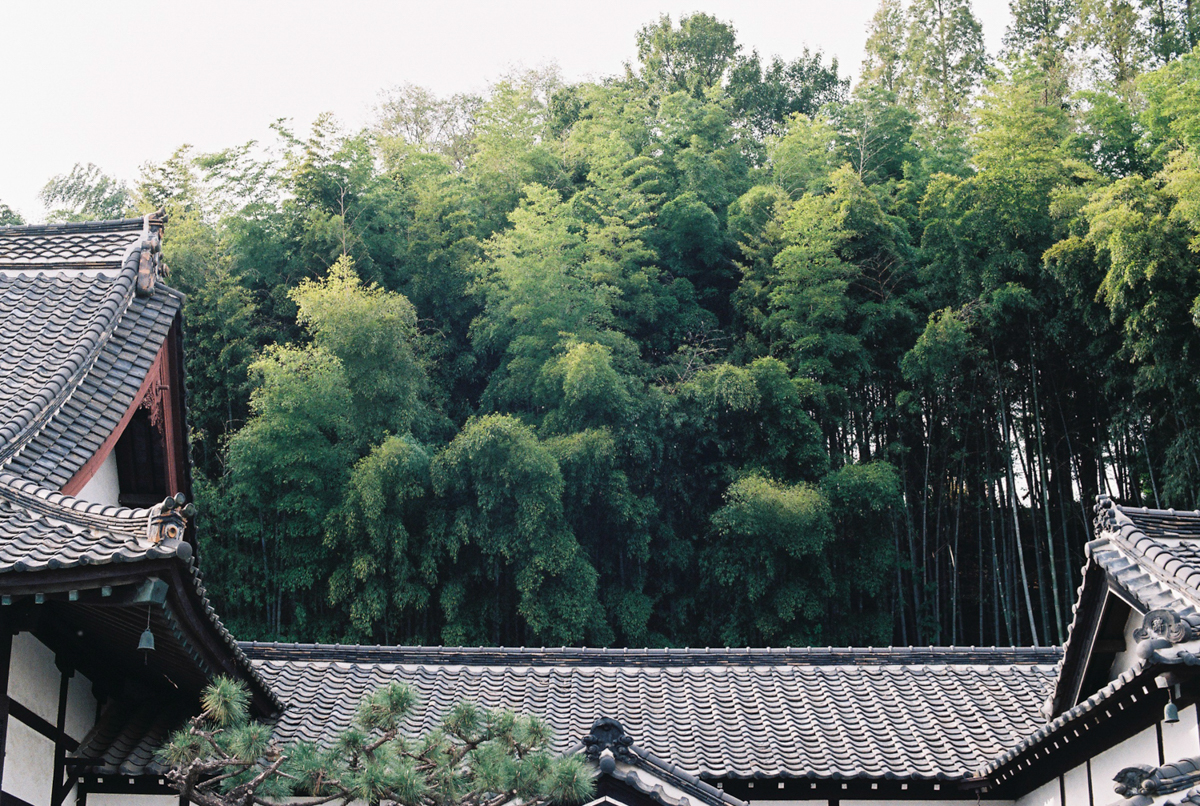 완도 촬영 여행 보고서