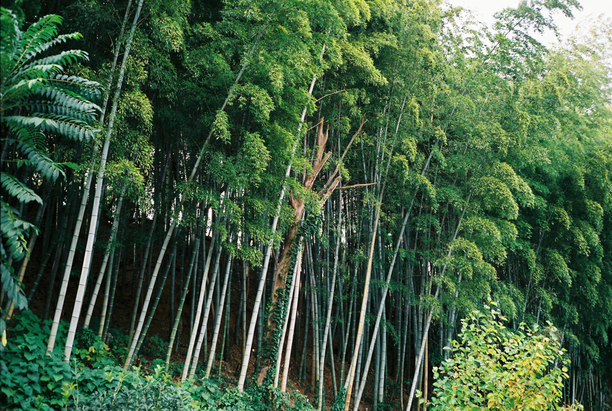 완도 촬영 여행 보고서
