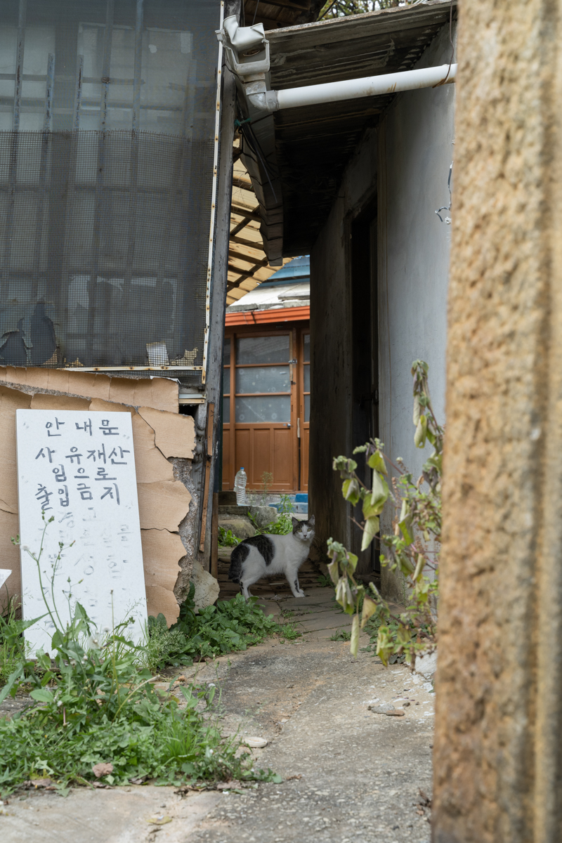 완도 촬영 여행 보고서