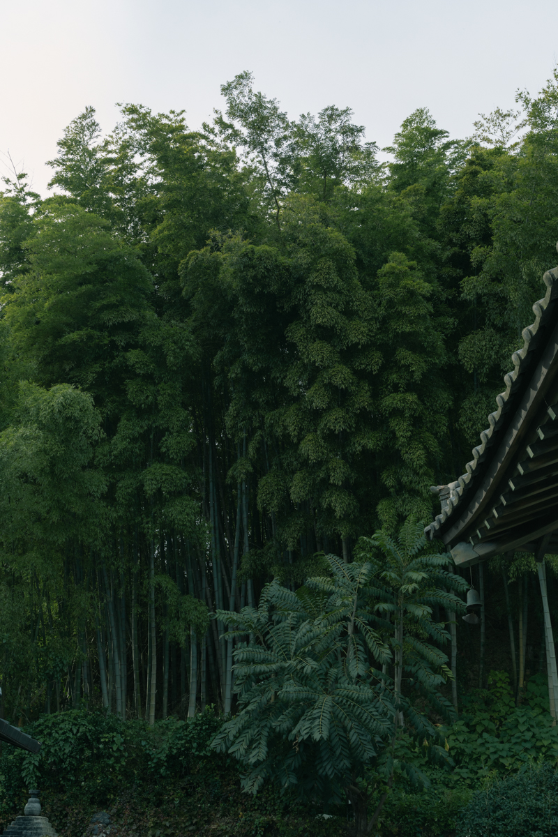 완도 촬영 여행 보고서