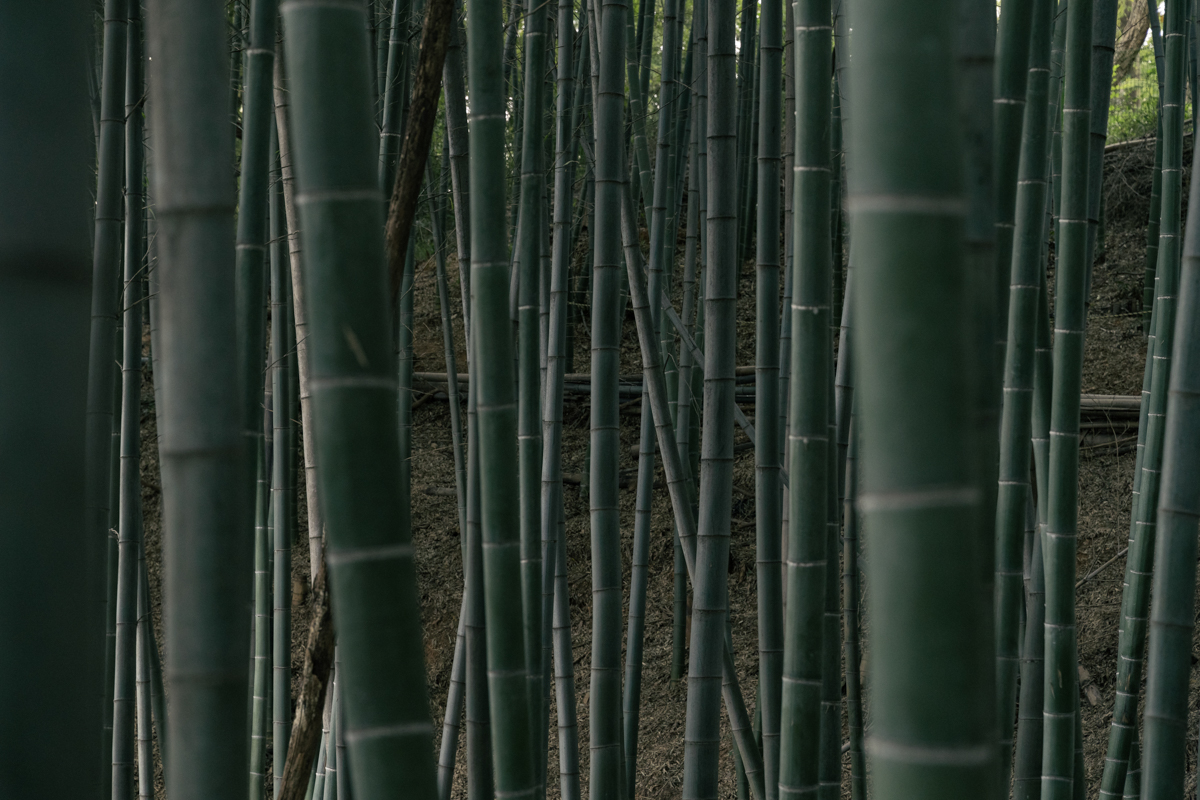 완도 촬영 여행 보고서