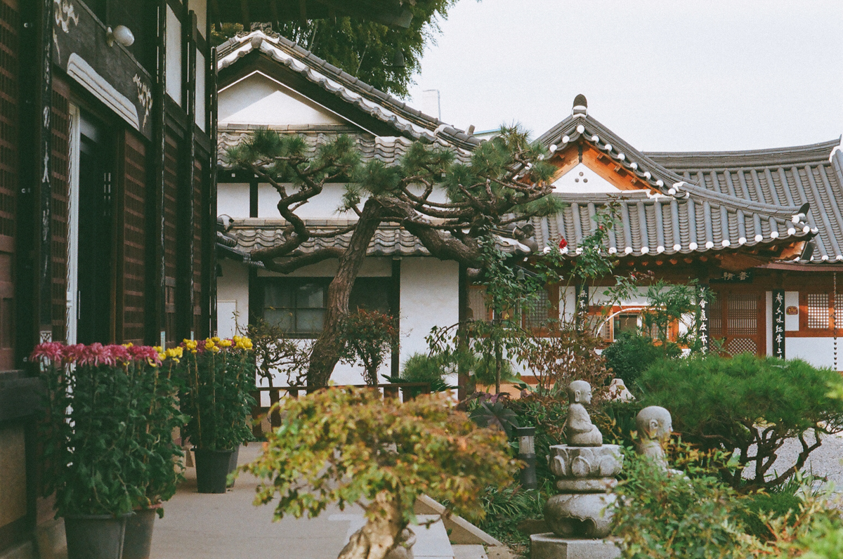 완도 촬영 여행 보고서