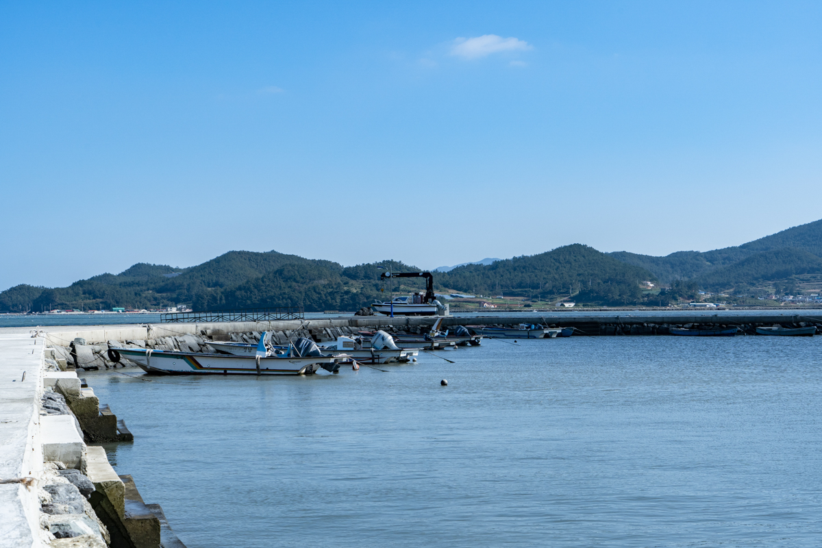 완도 촬영 여행 보고서