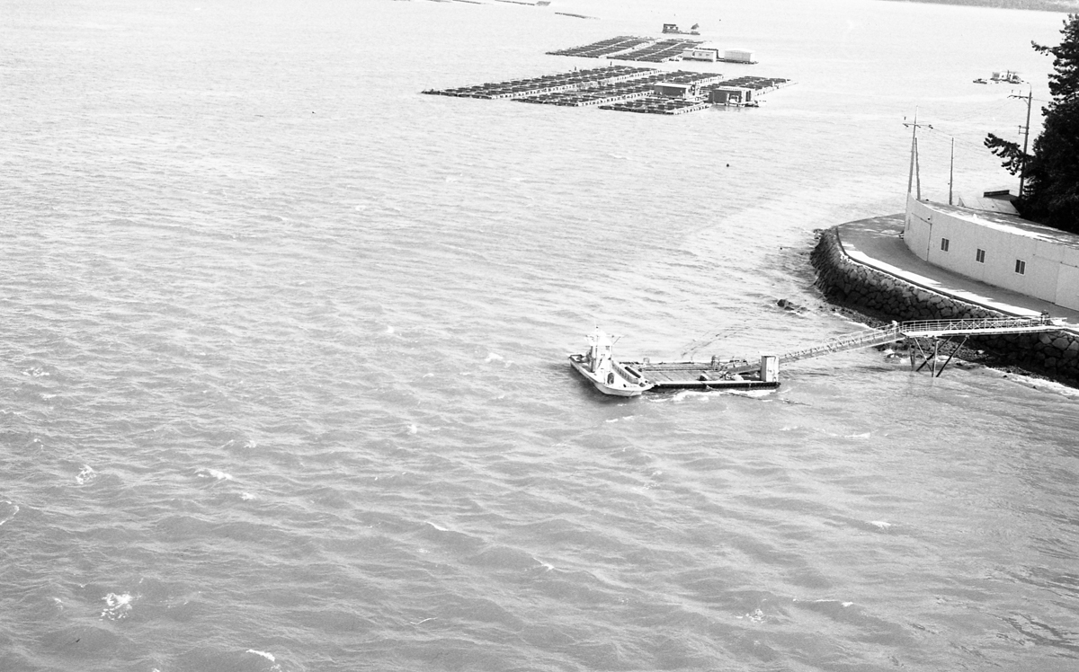 완도 촬영 여행 보고서