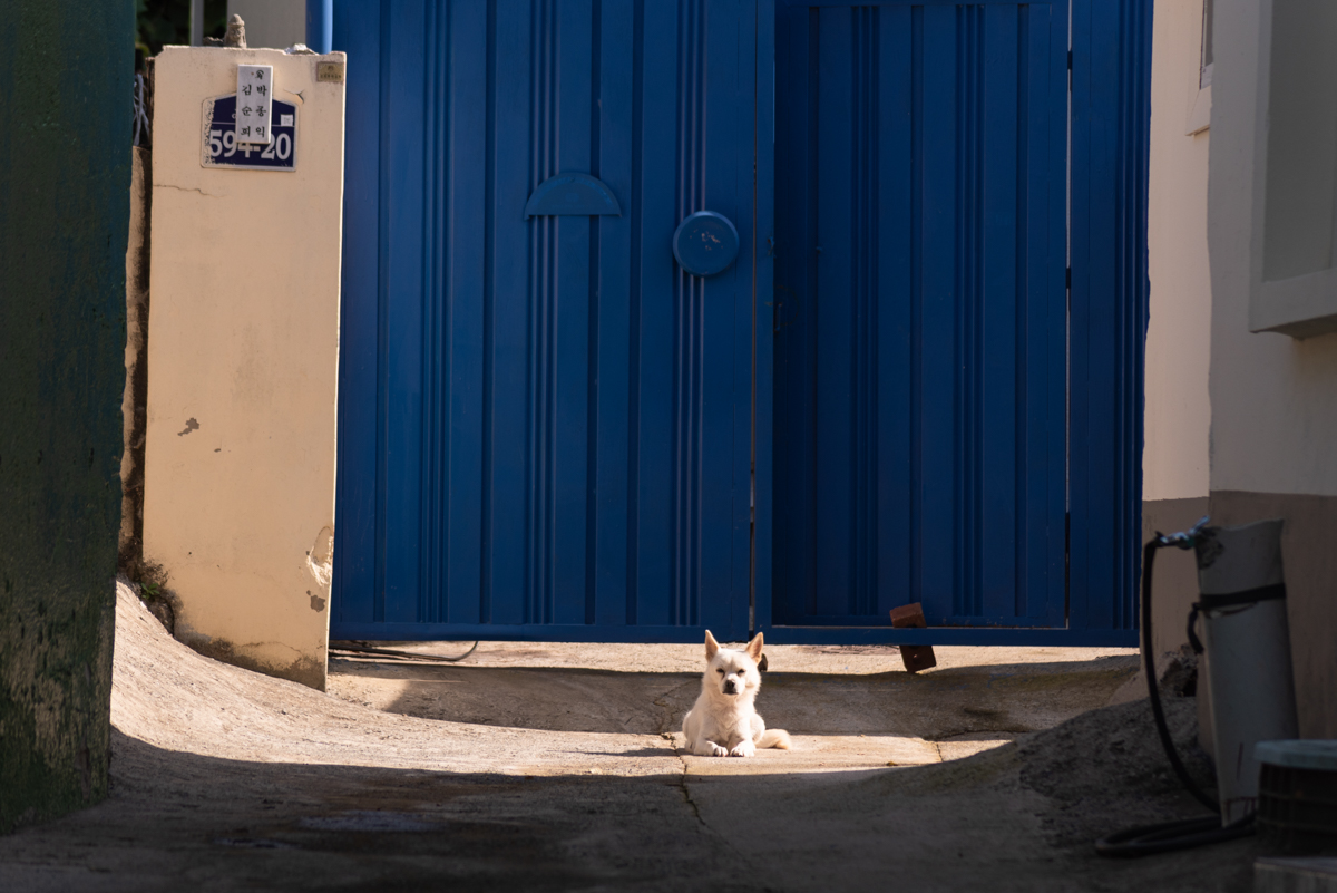 완도 촬영 여행 보고서