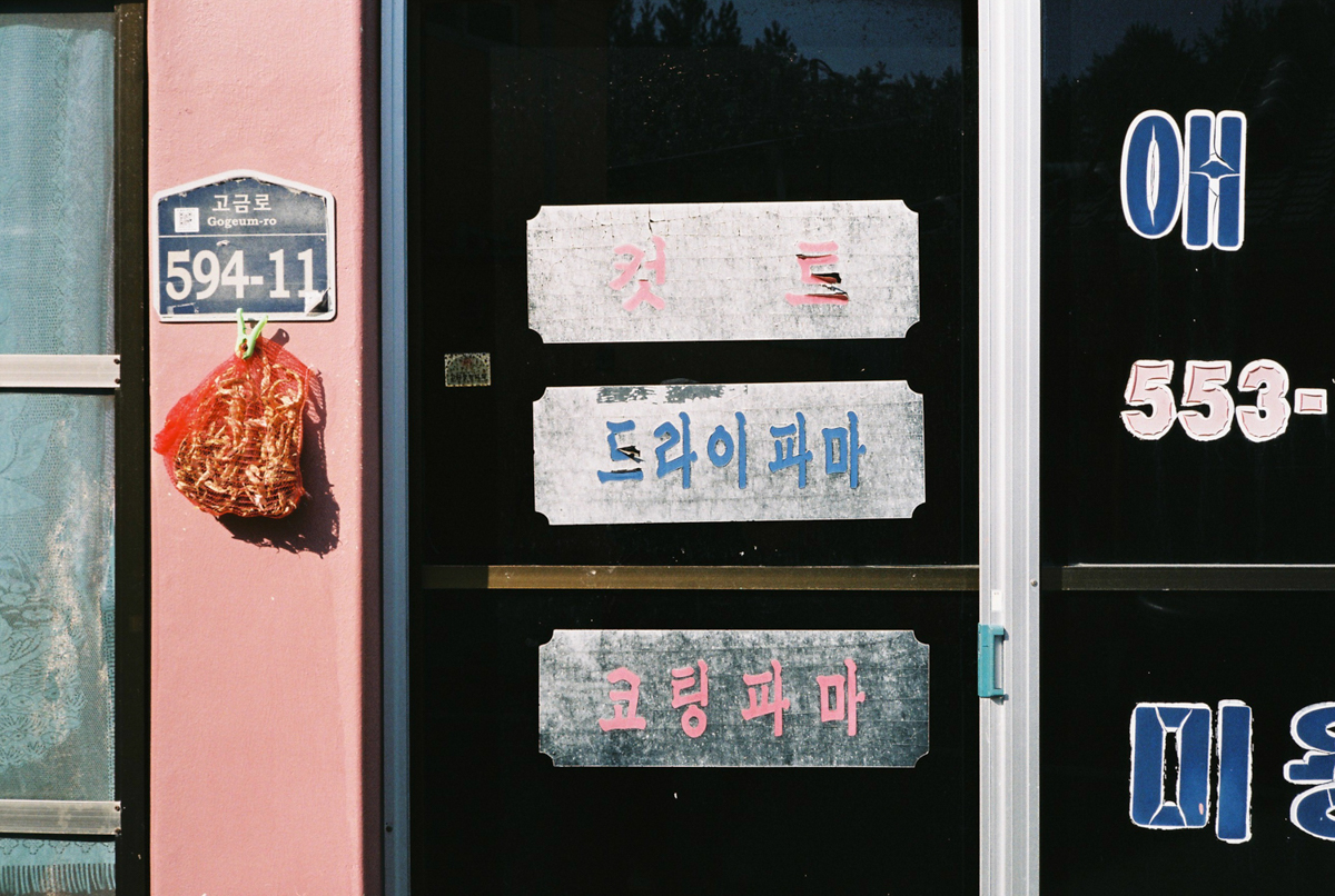 완도 촬영 여행 보고서