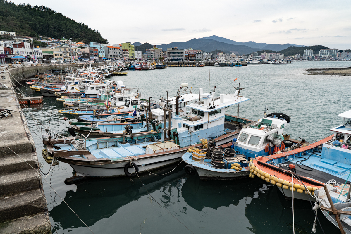 완도 촬영 여행 보고서