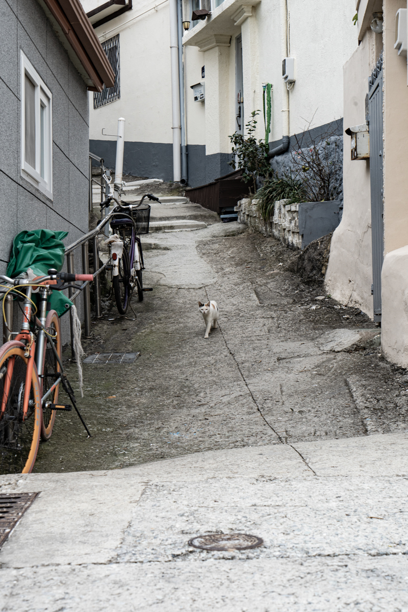 완도 촬영 여행 보고서
