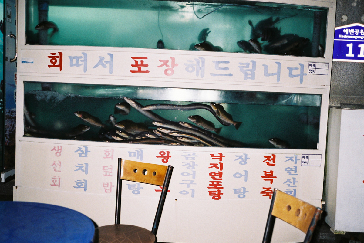 완도 촬영 여행 보고서