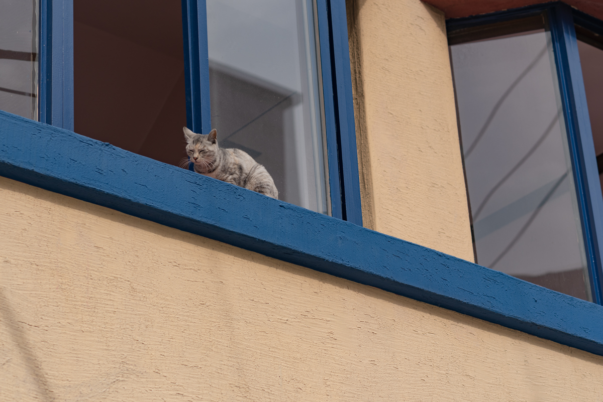 완도 촬영 여행 보고서