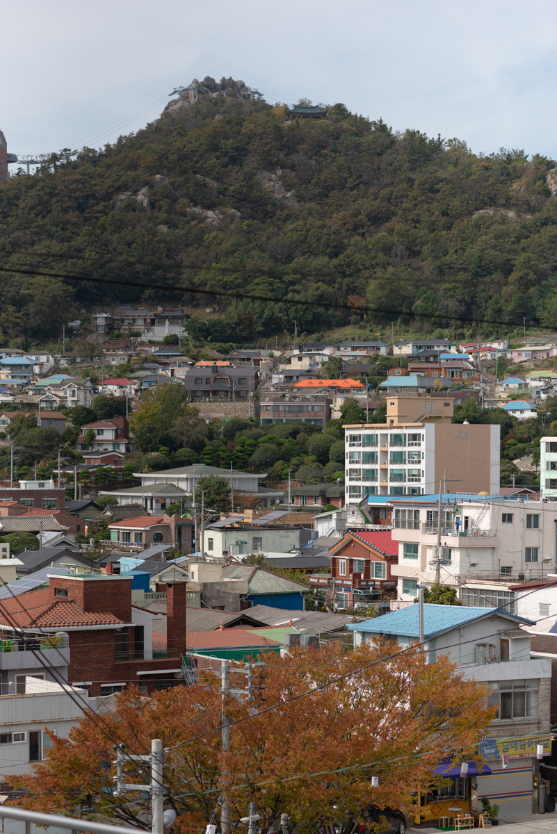 완도 촬영 여행 보고서