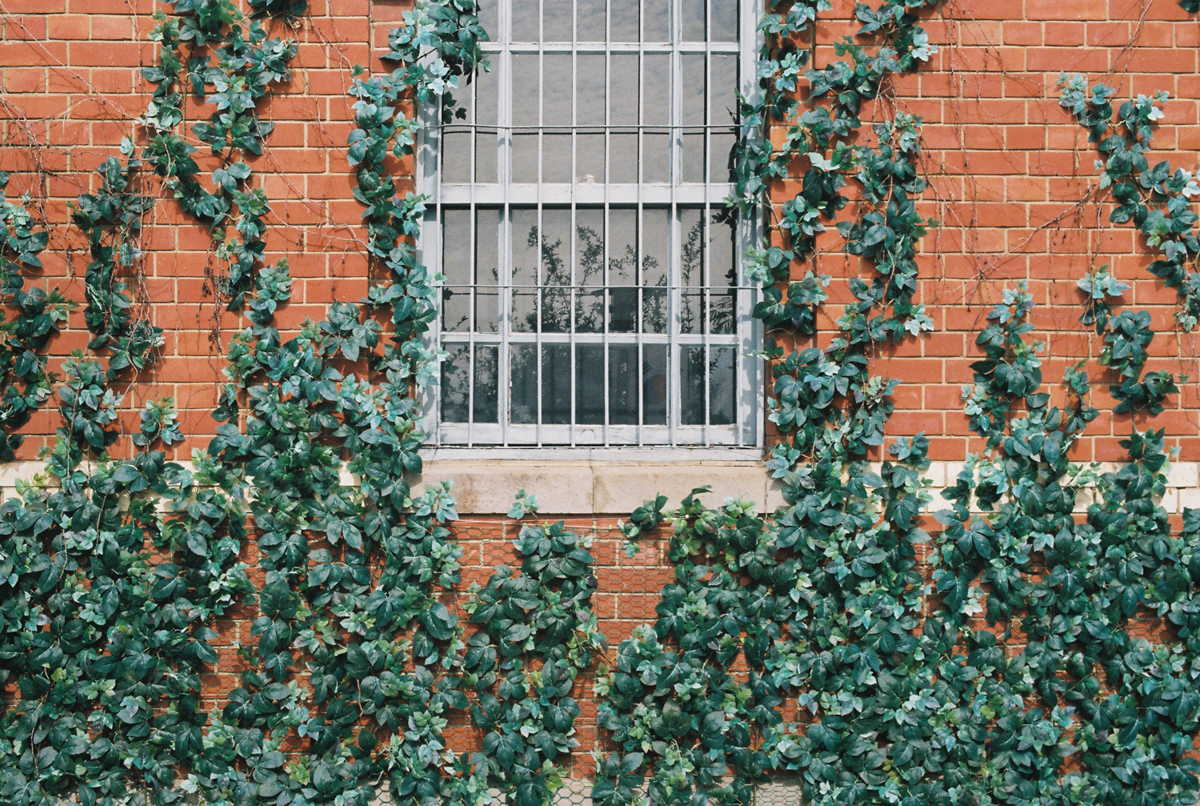 완도 촬영 여행 보고서