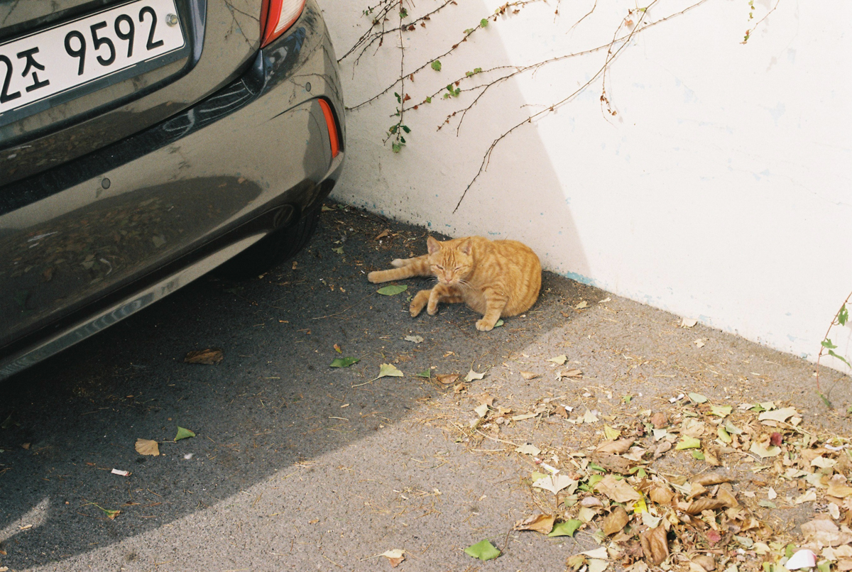 완도 촬영 여행 보고서