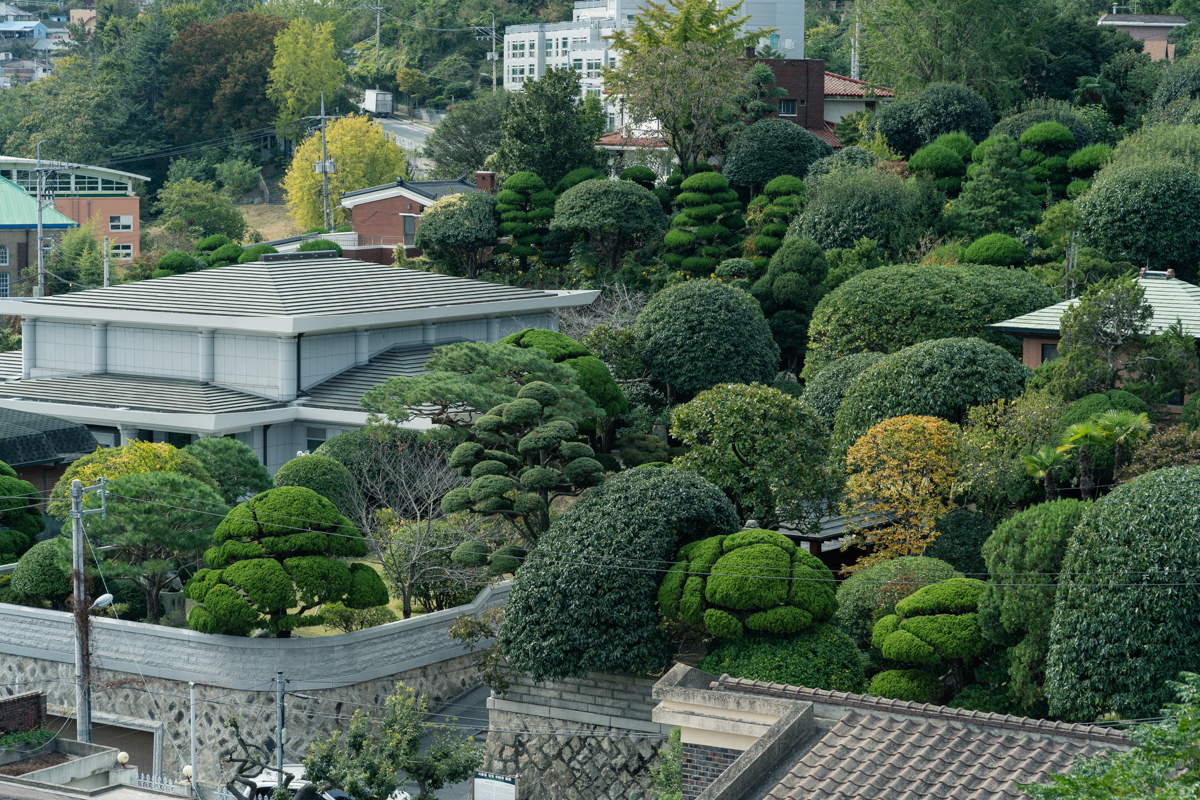 완도 촬영 여행 보고서