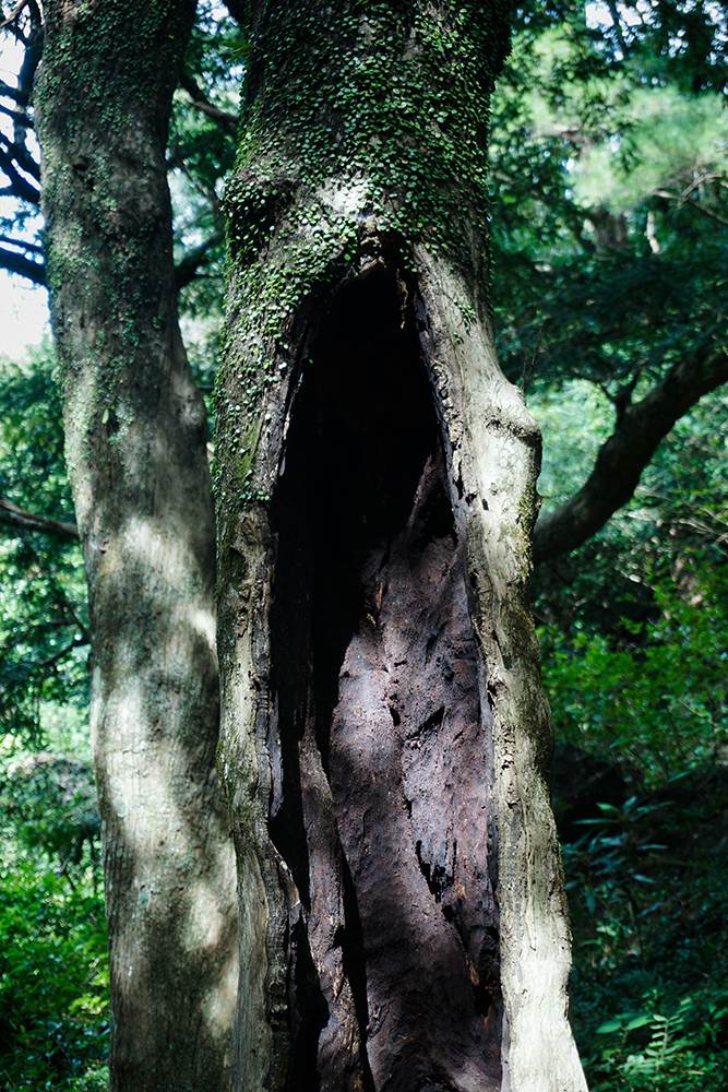 사진전시기획반 전시
