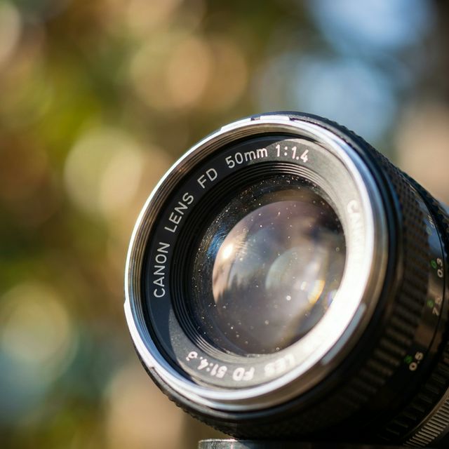 아웃포커싱으로 배경을 흐리게 처리한 사진